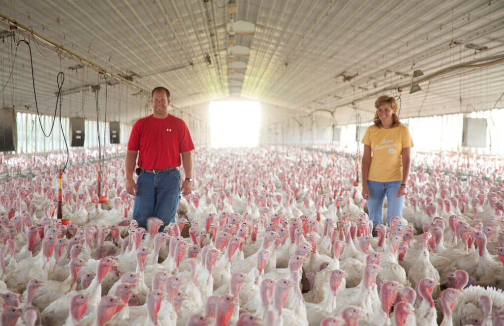 NTF members sanding in a turkey barn