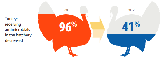 antibiotic use in turkeys 