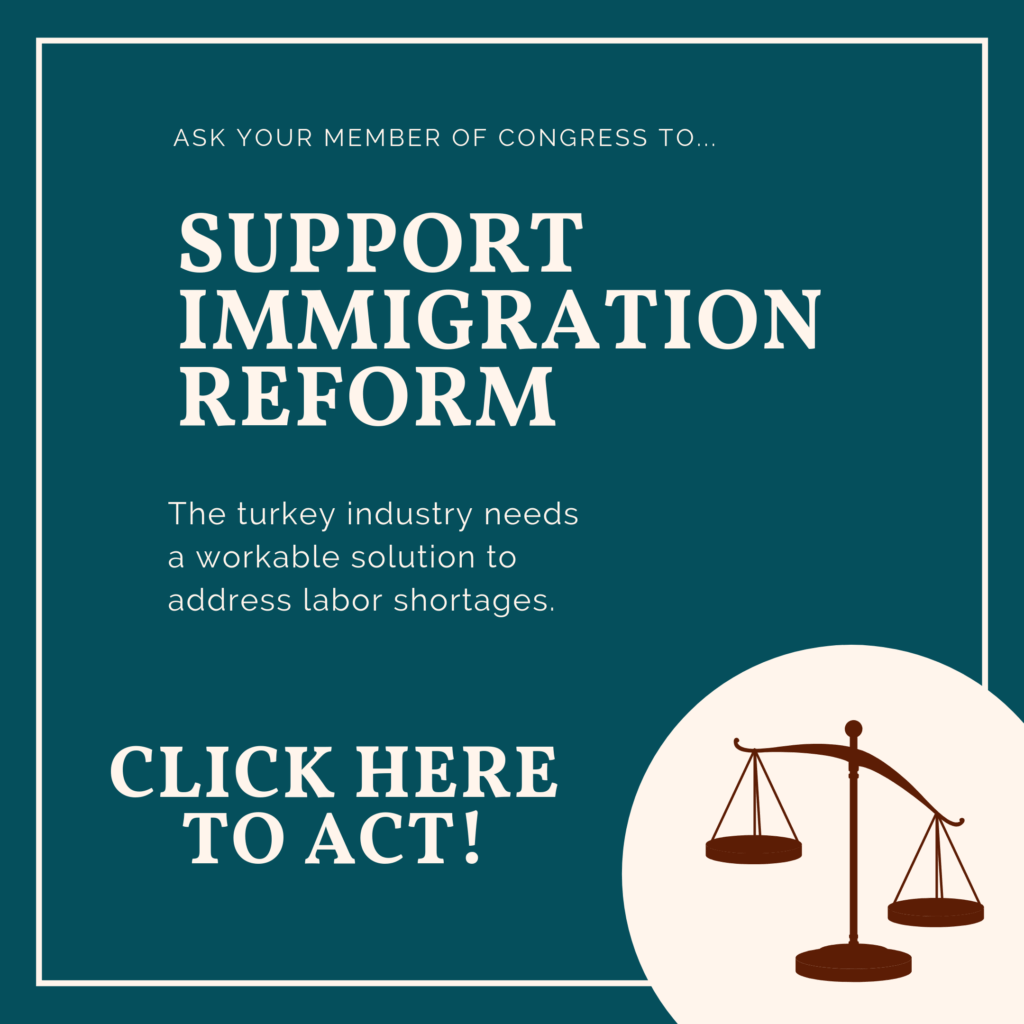 Navy square and scale 